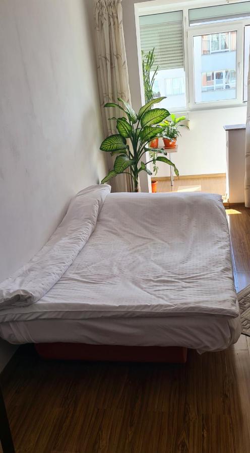 Perfect View Apartament 2 Rooms Self Check-In ブカレスト エクステリア 写真